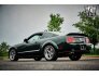2008 Ford Mustang for sale 101748344