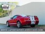 2008 Ford Mustang GT Premium for sale 101815255