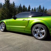 2008 Ford Mustang GT Coupe for sale 100762266