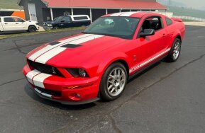 2008 Ford Mustang Shelby GT500 for sale 102013601
