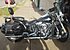 2008 Harley-Davidson Softail for sale 200567884