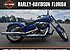 2008 Harley-Davidson Softail for sale 200732605