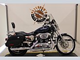 2008 Harley-Davidson Sportster 1200 Custom for sale 201533137