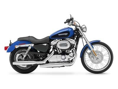 2007 sportster 1200 best sale custom