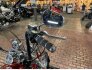 2008 Harley-Davidson Sportster 883 Custom for sale 201340245