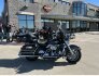 2008 Harley-Davidson Touring Ultra Classic Electra Glide for sale 201369726