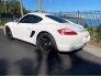 2008 Porsche Cayman S for sale 101681952