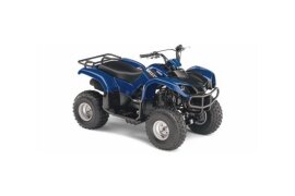 2008 Yamaha Grizzly 125 80 specifications