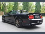 Thumbnail Photo 2 for 2009 Ford Mustang Shelby GT500 Convertible for Sale by Owner