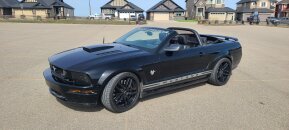 2009 Ford Mustang GT Convertible for sale 102020751