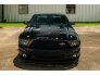 2009 Ford Mustang Shelby GT500 for sale 101571074