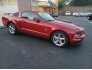 2009 Ford Mustang for sale 101789003