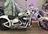 2009 Harley-Davidson Softail for sale 200624659