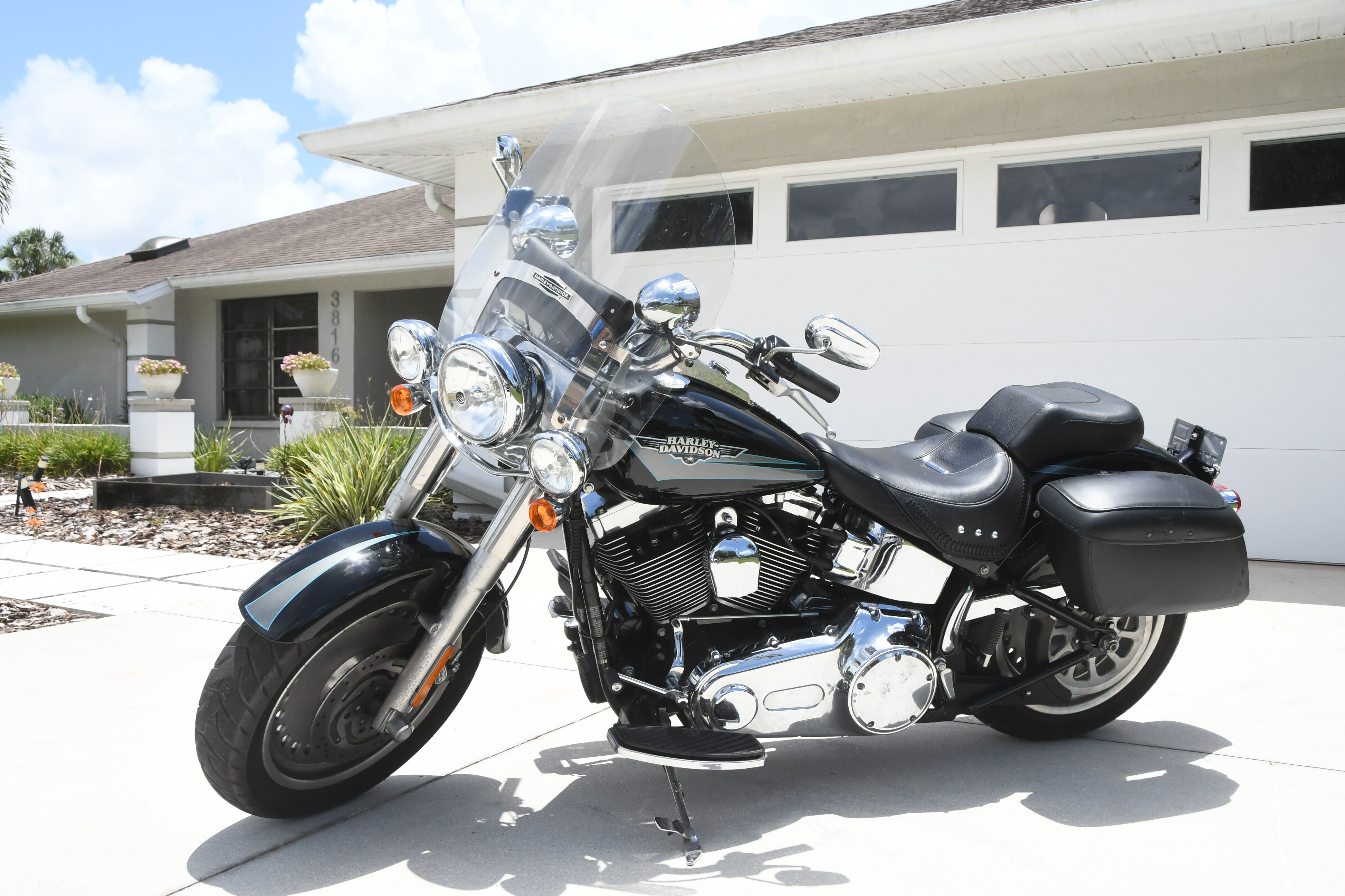 softail for sale near me