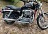 2009 Harley-Davidson Sportster Custom for sale 200605551