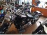 2009 Harley-Davidson Softail for sale 201266402