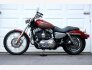 2009 Harley-Davidson Sportster 1200 Custom for sale 201372373