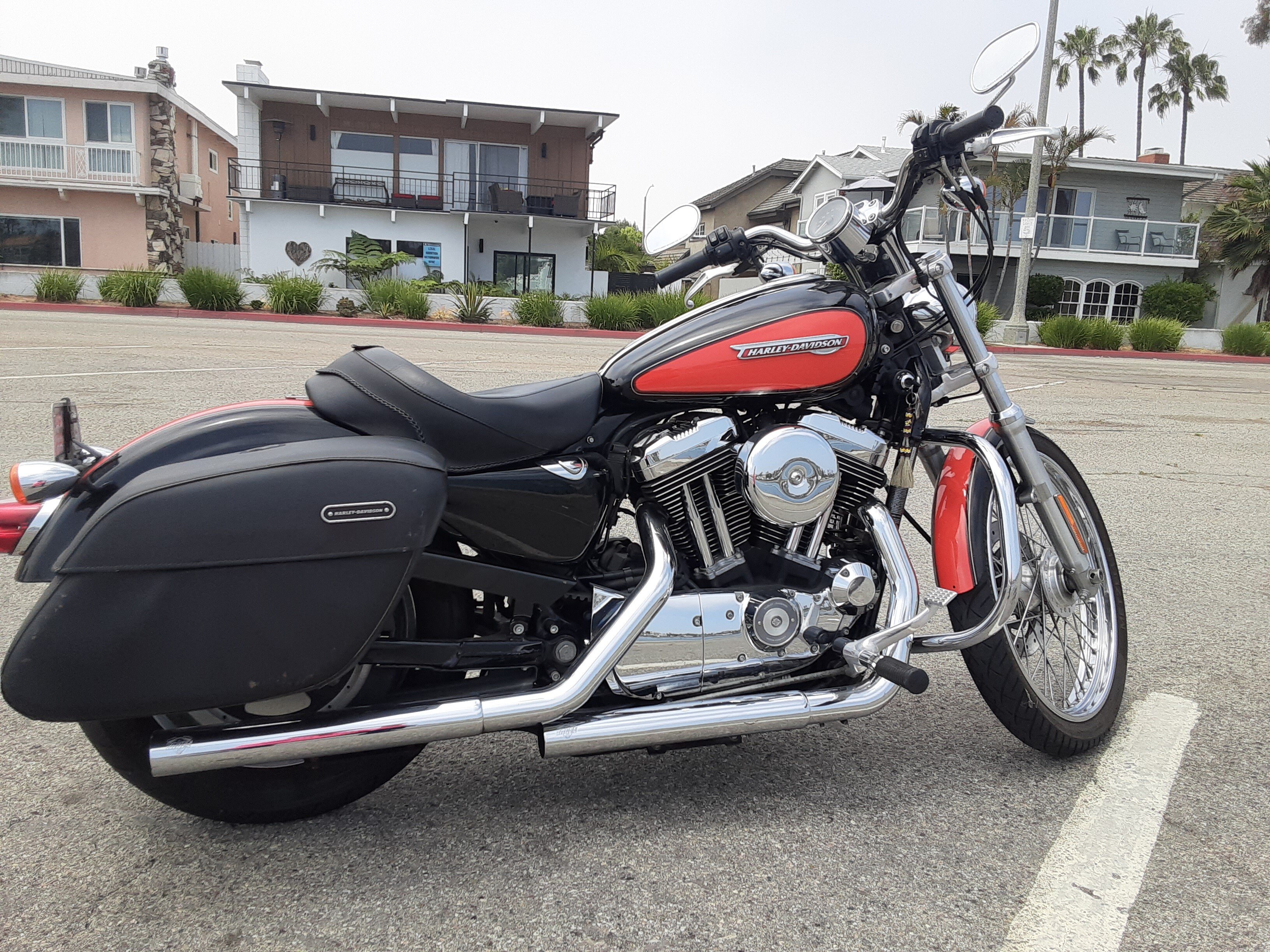 Used sportster online 1200