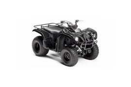 2009 Yamaha Grizzly 125 125 Automatic specifications