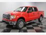 2010 Ford F150 for sale 101661009