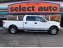 2010 Ford F150 for sale 101692051