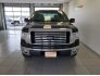 2010 Ford F150 for sale 101726584