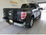 2010 Ford F150 for sale 101726584