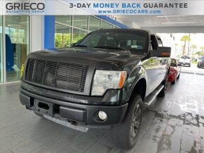 2010 Ford F150 for sale 101736163