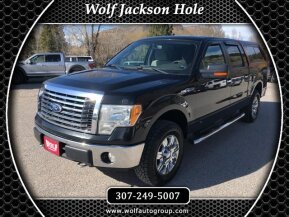 2010 Ford F150 for sale 101736638