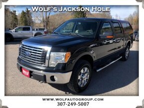 2010 Ford F150 for sale 101736638