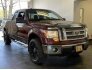 2010 Ford F150 for sale 101736906