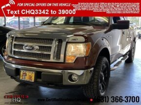 2010 Ford F150 for sale 101736906