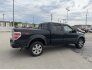 2010 Ford F150 for sale 101738547