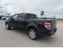 2010 Ford F150 for sale 101738547