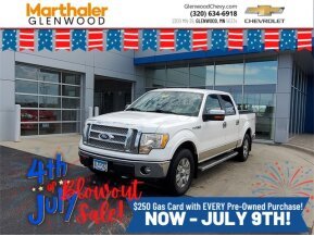 2010 Ford F150 for sale 101742379