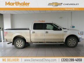 2010 Ford F150 for sale 101742379