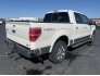 2010 Ford F150 for sale 101755301