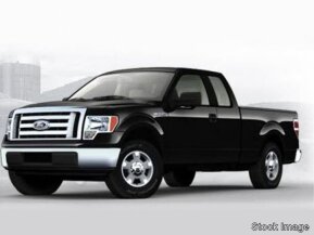 2010 Ford F150 for sale 101770343
