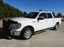 2010 Ford F150 for sale 101821584