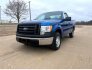 2010 Ford F150 for sale 101846483