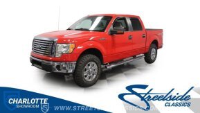 2010 Ford F150 for sale 101661009