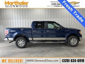 2010 Ford F150 for sale 101896066