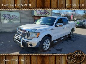 2010 Ford F150 for sale 101989051