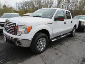 2010 Ford F150 for sale 102018287