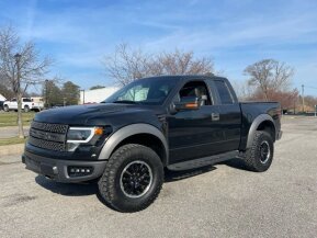 2010 Ford F150 for sale 102021652