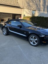 2010 Ford Mustang GT Premium for sale 102007328