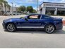 2010 Ford Mustang for sale 101523632