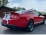 2010 Ford Mustang for sale 101741481