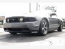 2010 Ford Mustang GT Premium for sale 101817159