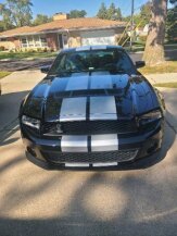 2010 Ford Mustang Shelby GT500 for sale 101900042